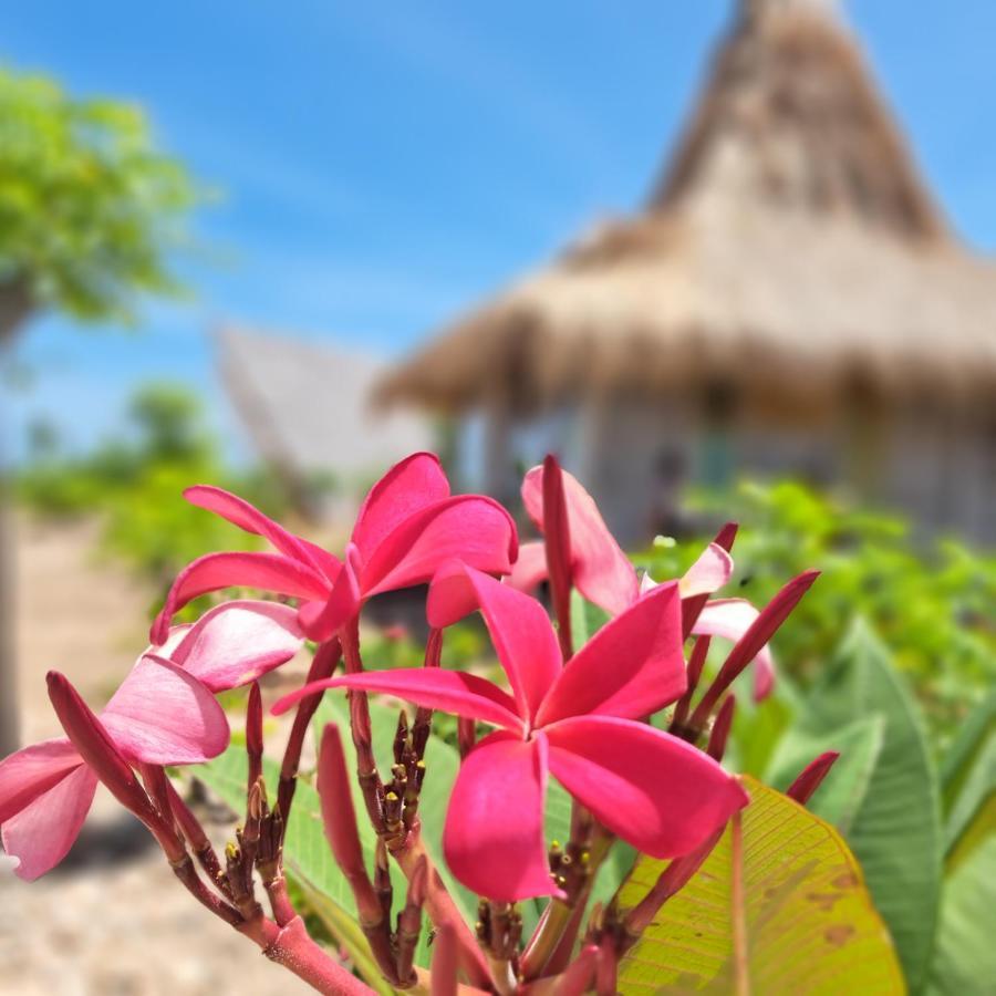 Hars Garden Sumba Hotel Waingapu Buitenkant foto